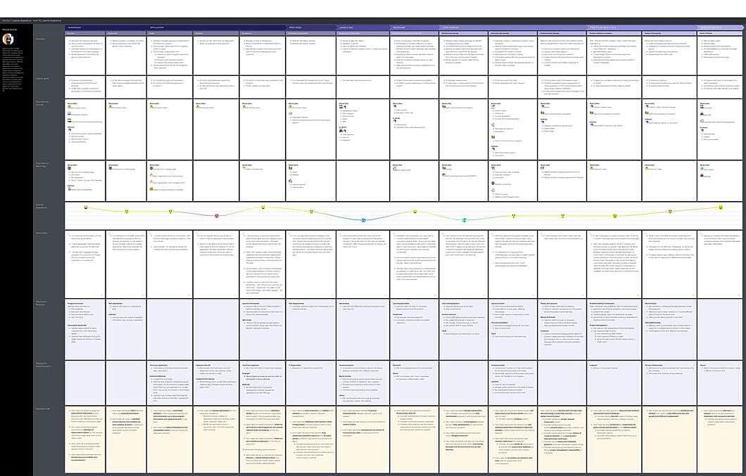 Final journey map showing insights distributed by themes and phases along with emotions experienced.