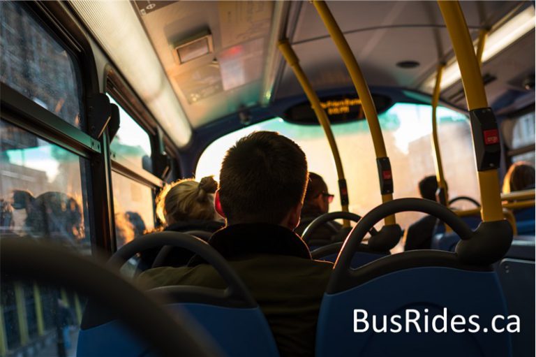 Man on bus looking to the front with text in bottom corner saying busrides.ca